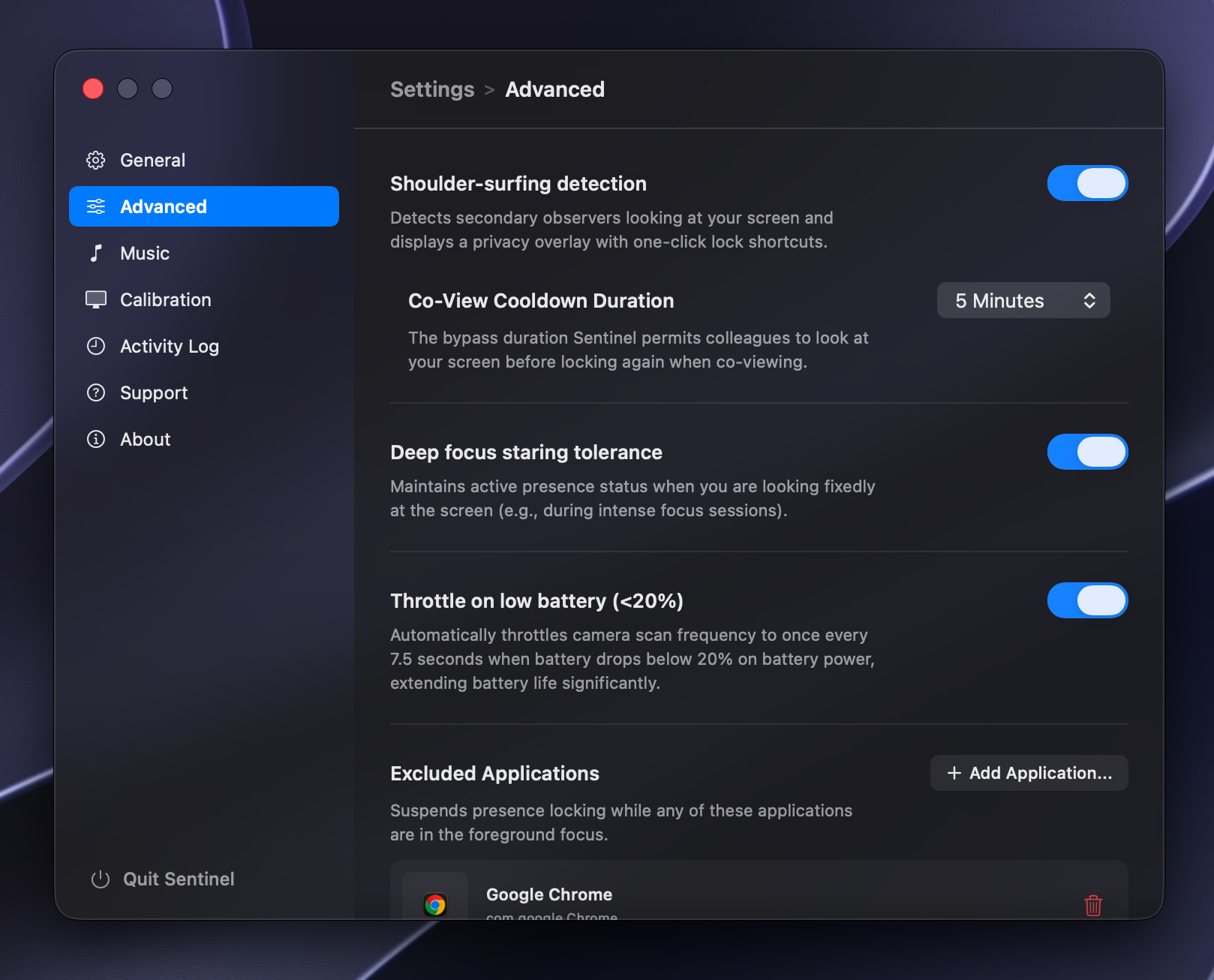 Sentinel Settings Interface